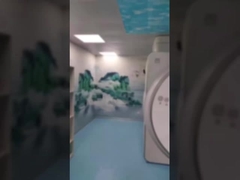 Kuboid Military Magnetic Faraday Cage MRI Imaging Magnetic Field Faraday Cage